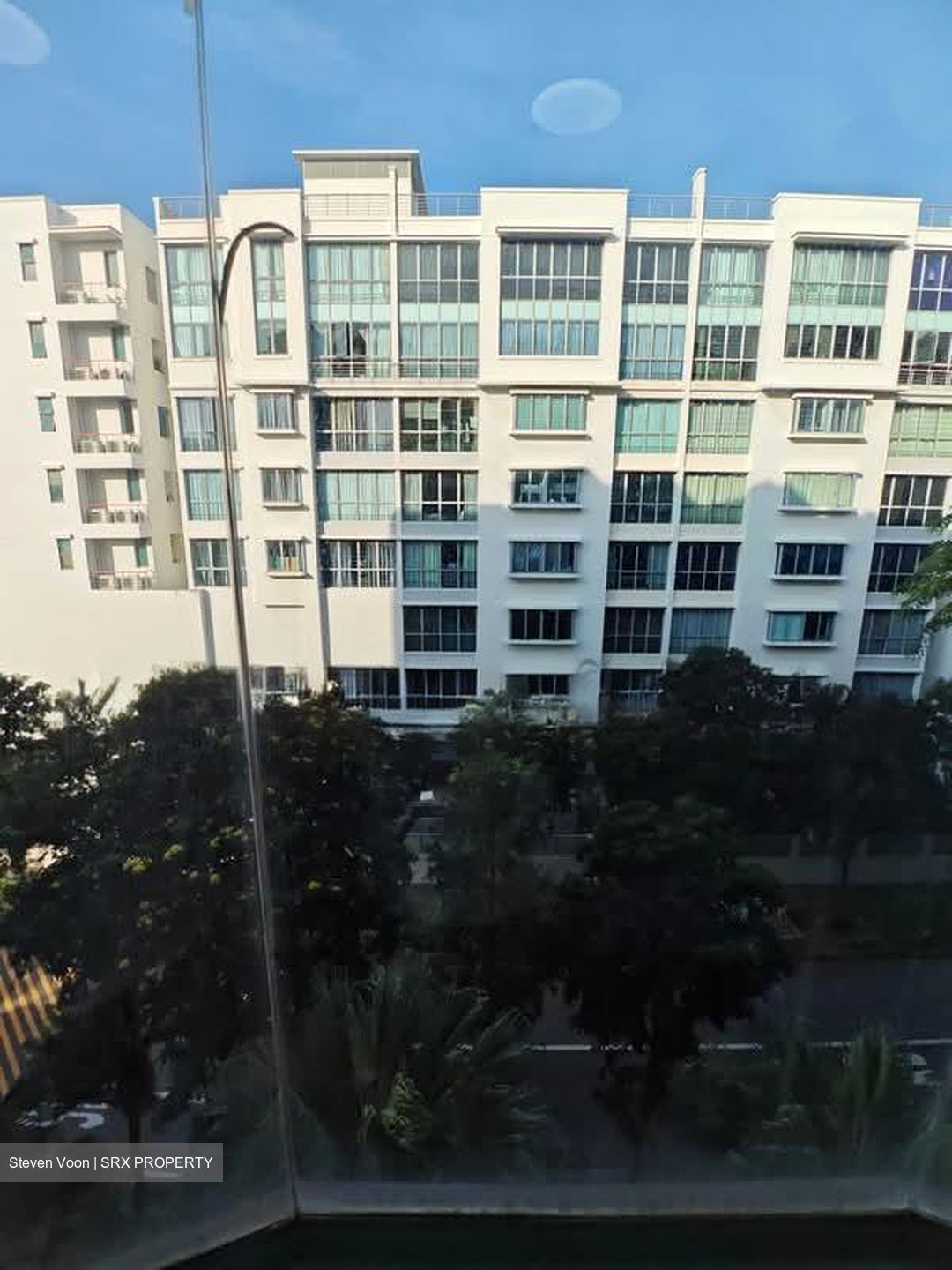 The Sunny Spring (D14), Apartment #602144771